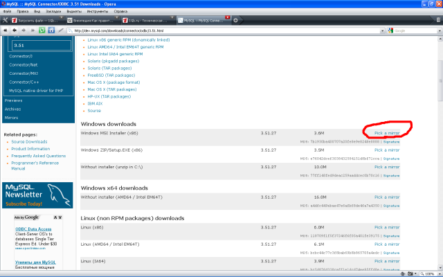 ����� �������� ��������